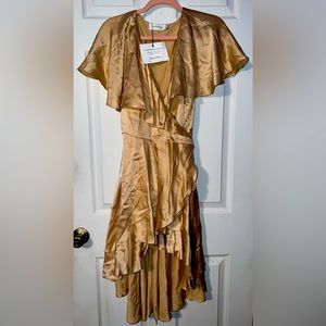 Zimmermann Champagne Dress